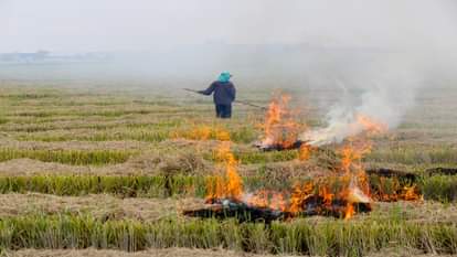 Stubble Burning: पंजाब में पिछले साल से अब तक 70 फीसदी कम जली पराली, औसत एक्यूआई में भी सुधार; सख्ती का असर Stubble Burning 70% less since last year average AQI also improved in Punjab