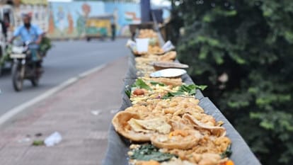 indore news shradh paksha krow