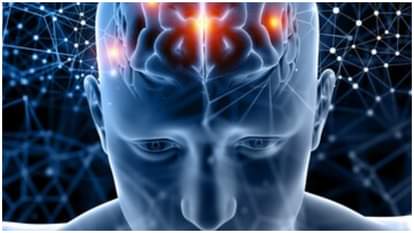 Brain Stroke: नशा करने वाले लोगों में ब्रेन स्ट्रोक का खतरा सबसे ज्यादा, युवाओं में सर्वाधिक बढ़ रहे मामले Brain Stroke: Drug users are at highest risk of brain stroke