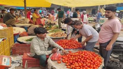 बाजार का हाल: पारे के साथ सब्जियों के दाम भी गिरे, टमाटर 40 से 25 रुपये किलो पर आया Market condition: Vegetable prices also fell along with the mercury
