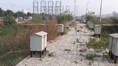 Mohali: 11 वर्ष पहले गमाडा ने 2500 करोड़ में बनाई थी मार्केट, दुकानदारों को अब तक नहीं मिला कब्जा GMADA built market for Rs 2500 crore, shopkeepers have not yet got possession