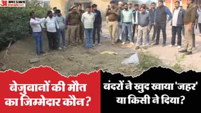 145 monkeys died in FCI warehouse in Hathras officer buried them all by digging a pit