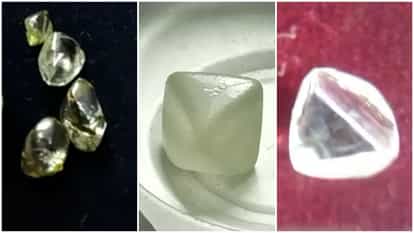 MP News: Auction of precious stones from tomorrow in Panna 32 carat diamond will be sold