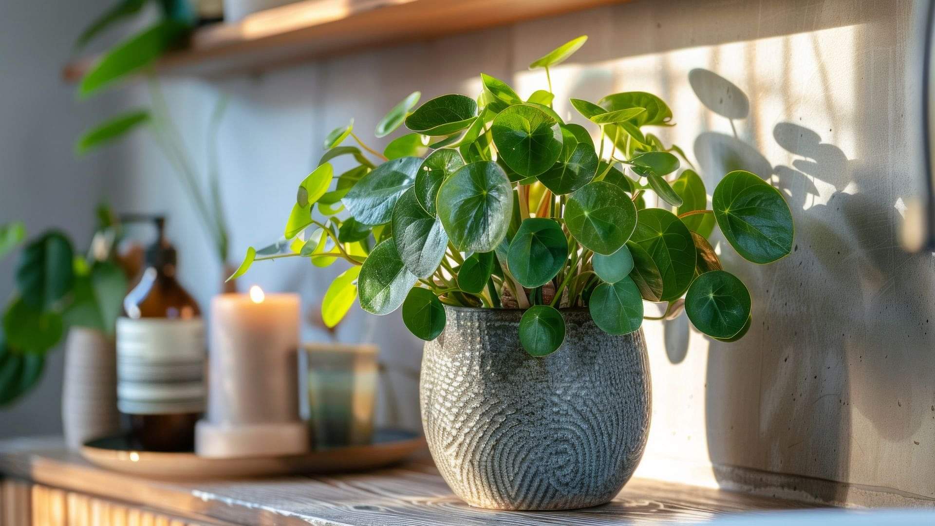 Vastu Tips: घर की छत पर कभी न रखें ये तीन चीजें, आर्थिक तंगी का बनती हैं कारण Vastu Tips Never Keep These Items On Terrace According to Vastu