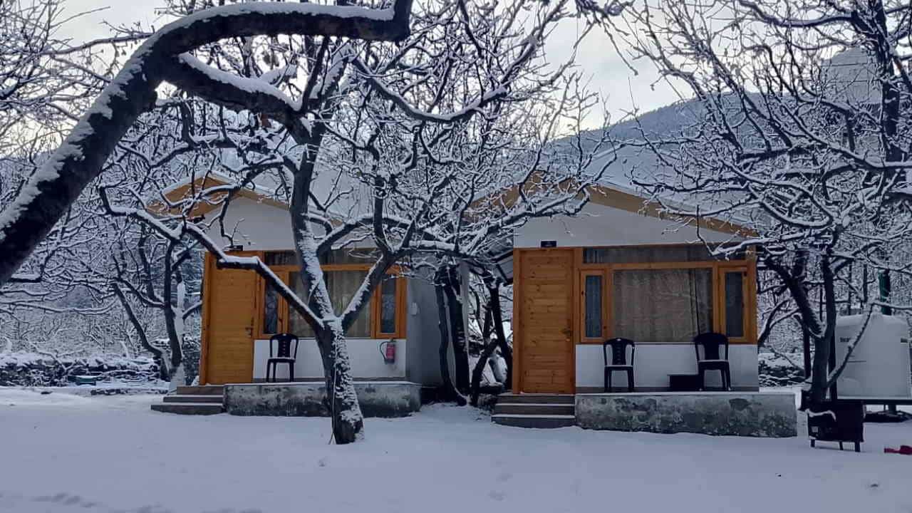 Snowfall: बर्फबारी से माइनस में तापमान...जमने लगा नलों में पानी, सफेद बर्फ की चादर से ढके गंगोत्री-यमुनोत्री Snowfall In Uttarakhand Gangotri Yamunotri harsil Temperature reached minus water in pipes started freezing