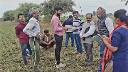 MP News: सागर में चने की फसल बढ़ाने के लिए किसान ने डाली रासायनिक दवा, पूरी फसल हुई खराब MP News To increase gram crop in Sagar farmer applied chemical medicine entire crop got ruined
