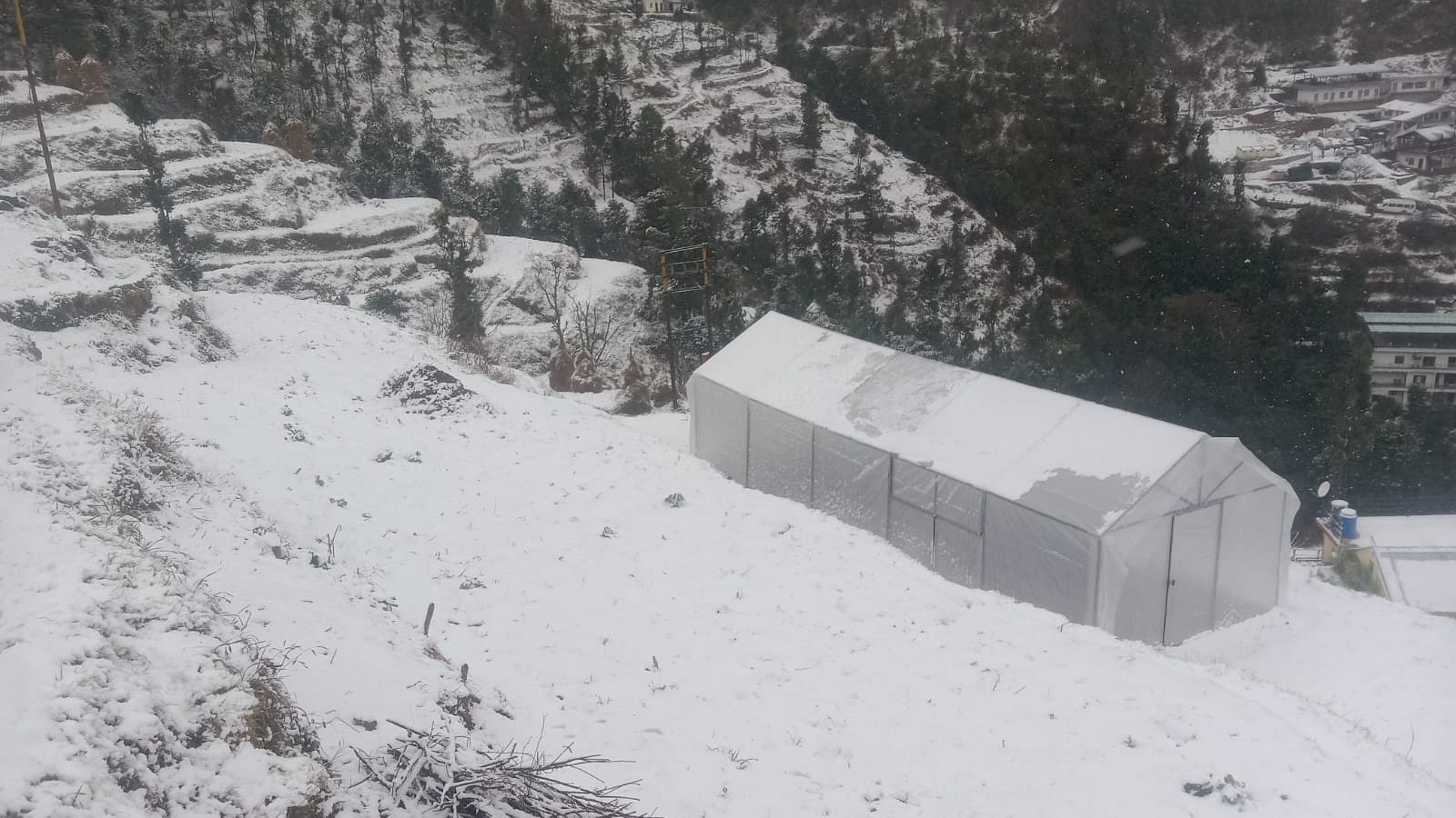 PHOTOS: बर्फबारी होते ही पर्यटकों ने किया मसूरी-धनोल्टी का रुख, चकराता में भी उमड़े सैलानी, तस्वीरें Uttarakhand Weather tourists reach Mussoorie-Dhanaulti, Chakrata after Snowfall Photos