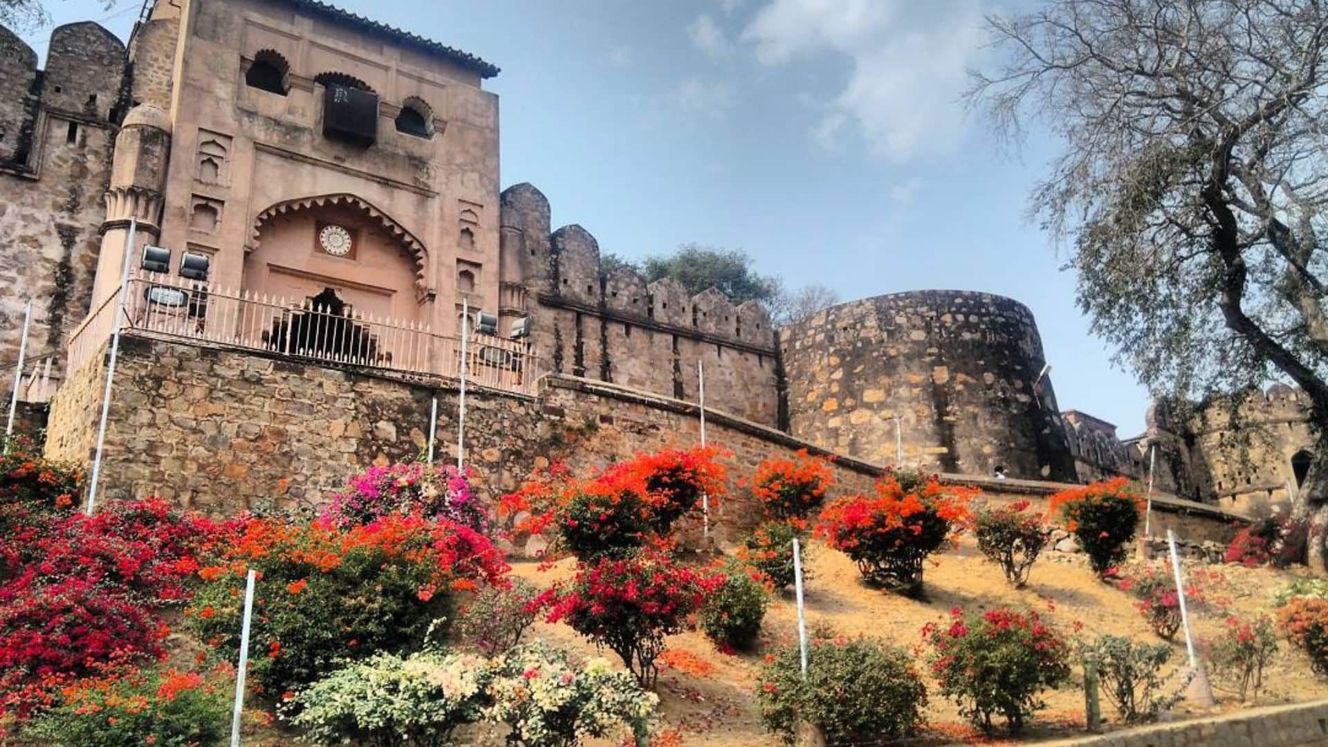 Republic Day 2025: देखनी है गणतंत्र दिवस की धूम तो यूपी की इन जगहों पर घूमने का बनाएं प्लान Places to Visit in UP on Republic Day Know Name and Locations Full Details