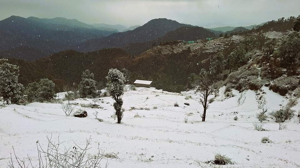 Snowfall: धनोल्टी, चकराता और बुरांशखंडा में बिछी बर्फ की सफेद चादर...शीतलकर का प्रकोप, देखें तस्वीरें Uttarakhand Weather Heavy Snowfall in Dhanaulti Chakrata Tourist Enjoy See Beautiful Photos
