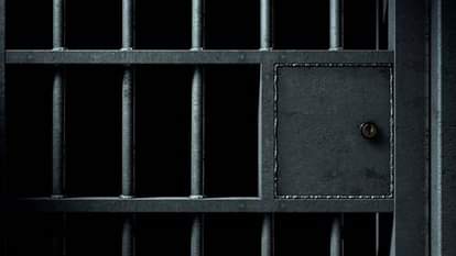 MP News: अंतरराष्ट्रीय बाघ तस्कर ताशी शेरपा को पांच साल की सजा, इंटरपोल ने प्रदेश के वन विभाग को दी बधाई MP News: International tiger smuggler Tashi Sherpa sentenced to five years in prison, Interpol congratulated t