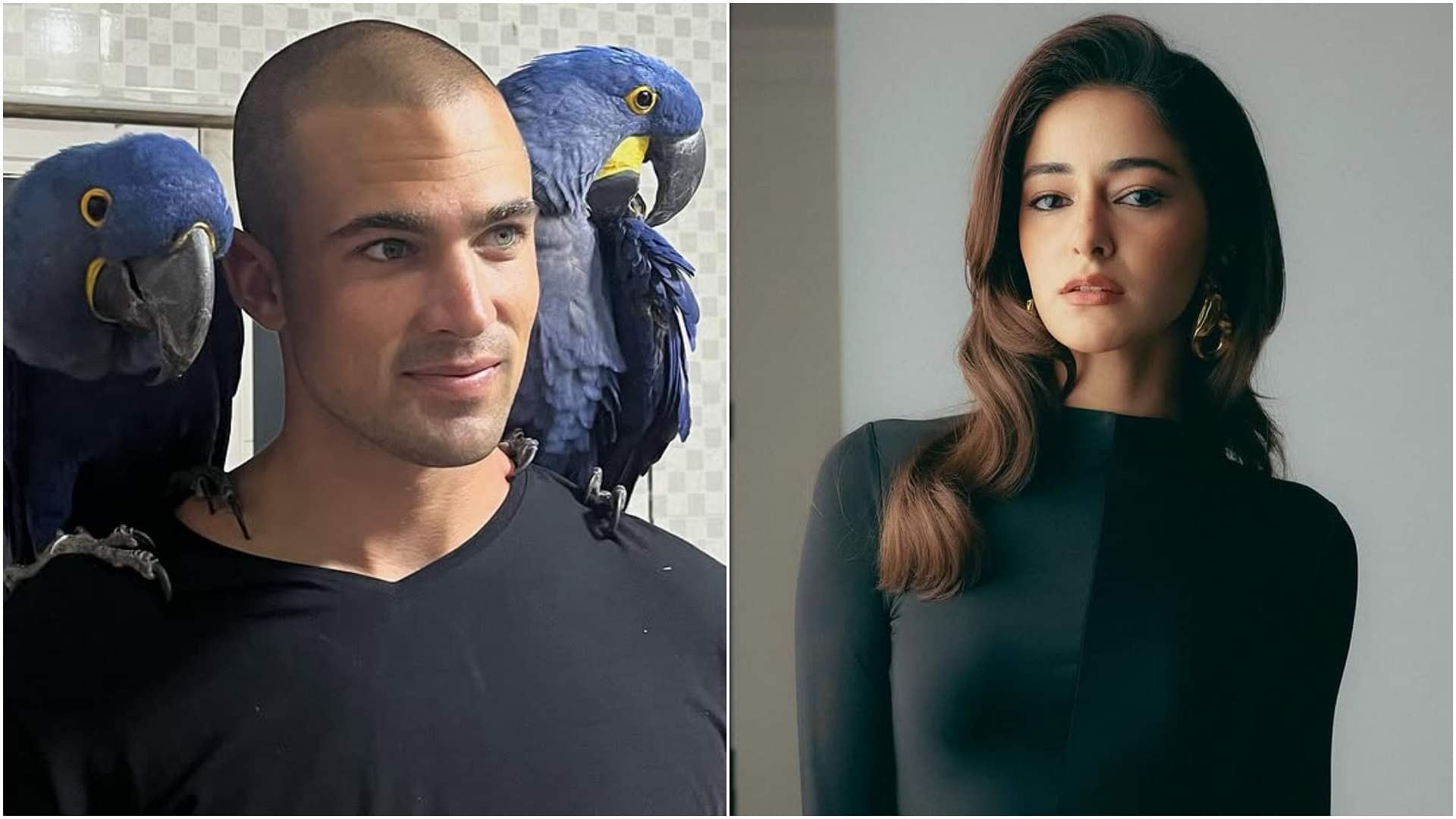 Ananya Pandey: फैमिली से हटकर अनन्या की अचीवमेंट पर इस खास शख्स ने जाहिर की खुशी, जानिए कौन है वो? Ananya Pandey Rumored Boyfriend Walker Blacno Expressed Happiness Over Actress Latest achievement