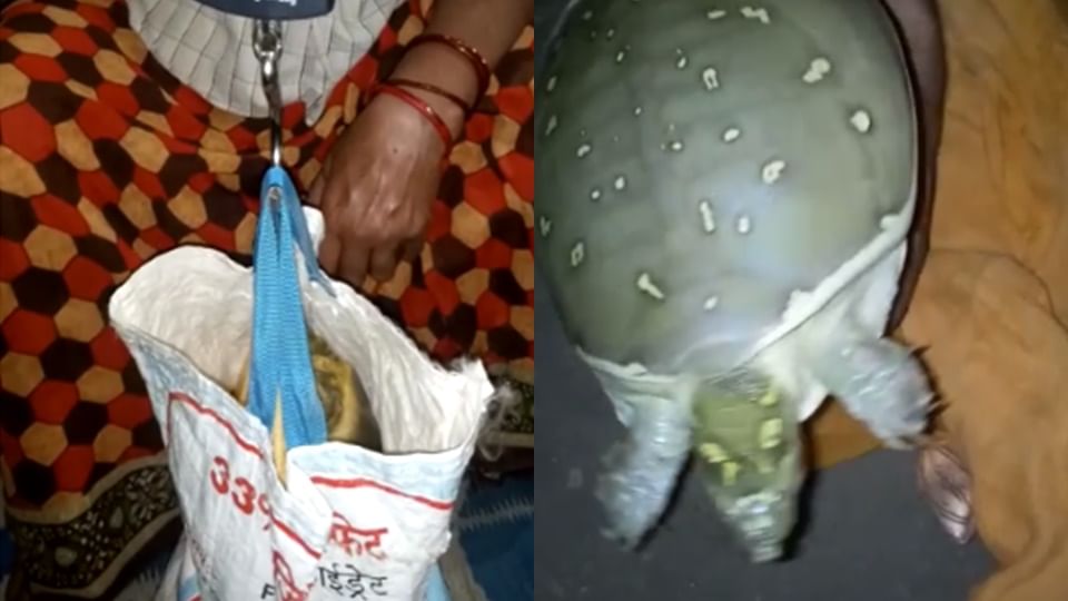 धनवर्षा गिरोह से जुड़े नए खुलासे: कुंवारी लड़कियां रहती थीं निशाने पर, जांच करते थे आरोपी; ASP ने खोले हर राज New revelations related to Dhanvarsha gang accused used to call girls articles in code words