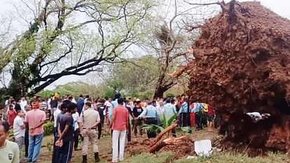 Bihar Weather : मौसम के कहर ने एक दिन में 61 की जान ली; जानें, आज किस जिले में बारिश और वज्रपात का अलर्ट है? Bihar Weather: Many people died due to lightning and falling trees in Bihar: Rain, lightning alert, Patna