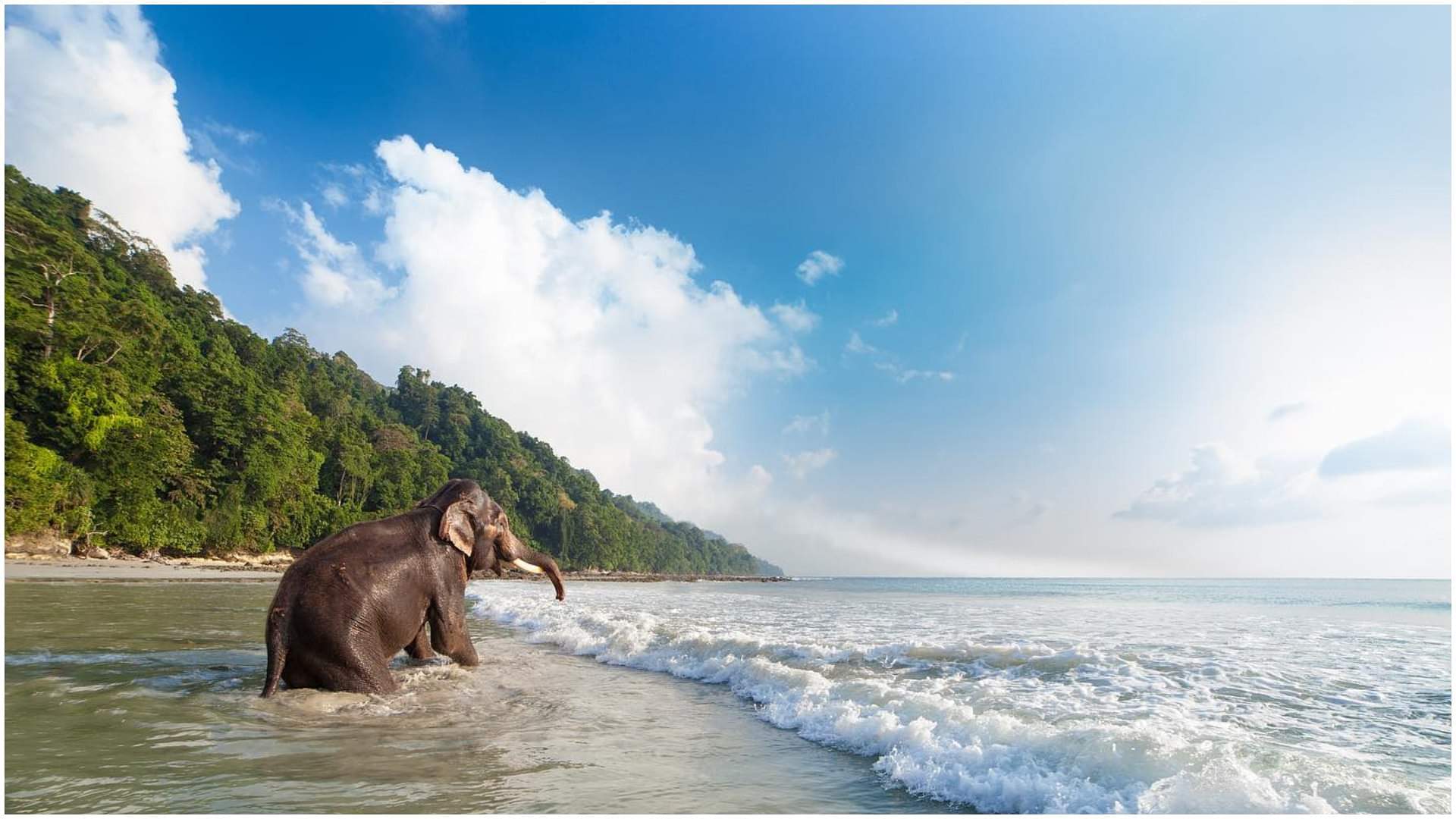 Travel Places: भारत की इन जगहों पर पहाड़ और समुद्र दिखते हैं एक साथ, बनाएं सफर का प्लान Vacation Location in India Where Mountains Meet Sea Check Travel Spots