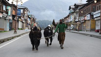 Pahalgam Attack: हमले के विरोध में पूरा जम्मू-कश्मीर बंद, घाटी में 35 वर्ष में पहली बार इतना बड़ा शटर डाउन Pahalgam Attack Shutdown against terror attack in Kashmir valley first time in 35 years