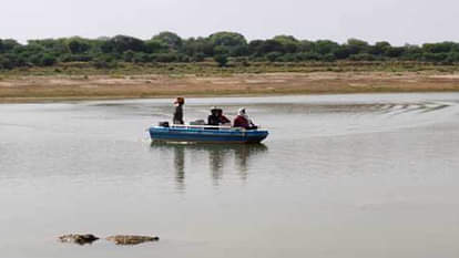 Etawah: पशुओं को पानी पिलाने गए पशुपालक को खींच ले गया मगरमच्छ, तलाश जारी Etawah: crocodile dragged away cattle herder who had gone to give water to the animals