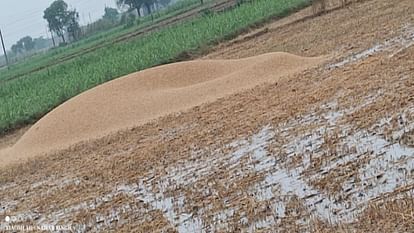 Meerut Weather News: झूम कर बरसे बदरा, तीन घंटे हुई झमाझम बारिश, जनजीवन प्रभावित Meerut Weather Forecast: heavy rain for three hours in west UP,