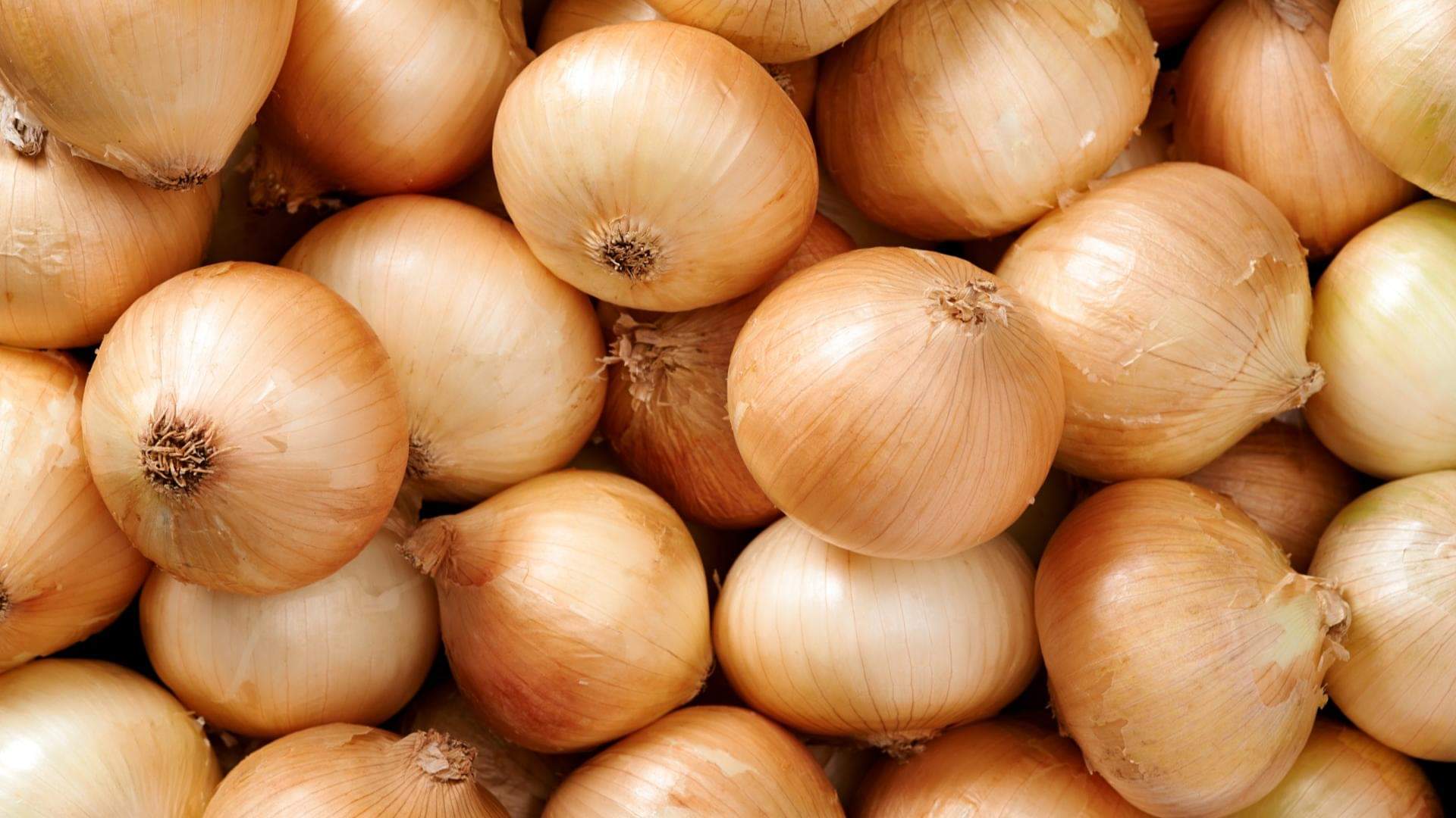 Annakut ki Sabzi: अन्नकूट में भूल से भी न डालें ये सब्जियां... जानें इसे बनाने की सही विधि Govardhan Puja Special Annakut ki Sabzi recipe Check What vegetables to add and right Way to Prepare It