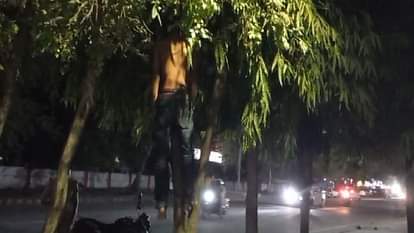 Jhansi Crime: झांसी में पेड़ से लटकता मिला युवक का शव, इलाके में मचा हड़कंप, पुलिस पहचान में जुटी Jhansi: Body of a youth found hanging from a tree in Jhansi panic in the area police busy in identification