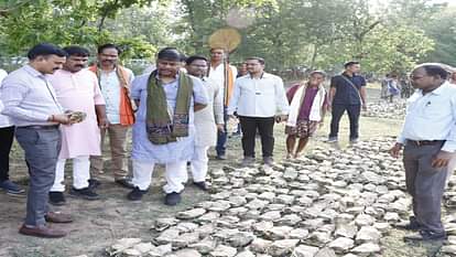 Chhattisgarh News: वन मंत्री केदार कश्यप बोले- हरे सोने से वनवासियों के जीवन में आ रहा बदलाव Forest Minister Kedar Kashyap said- green gold is bringing change in lives of forest dwellers in Chhattisgarh
