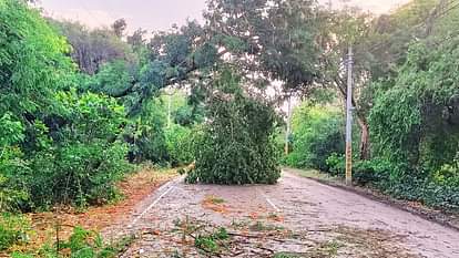 Weather News: आजमगढ़ में 50 किमी प्रति घंटा की रफ्तार से चलीं हवाएं, हुई बारिश; दिन में बदला मौसम का मिजाज Weather News in azamgarh Winds blew at speed rained mood of weather changed during day
