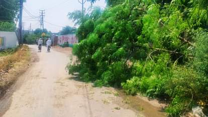 Weather News: आजमगढ़ में 50 किमी प्रति घंटा की रफ्तार से चलीं हवाएं, हुई बारिश; दिन में बदला मौसम का मिजाज Weather News in azamgarh Winds blew at speed rained mood of weather changed during day