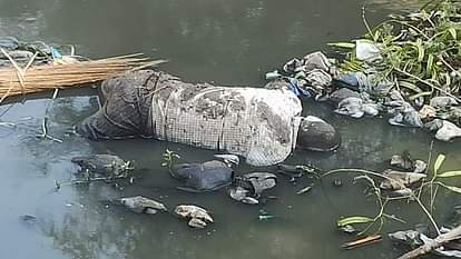 अंबाला में मिली गली सड़ी लाश: नाले में व्यक्ति का शव मिलने से मचा हड़कंप, राहगीर की नजर पड़ते ही निकल गई चीखें Dead body missing person from Karnal found in Ambala