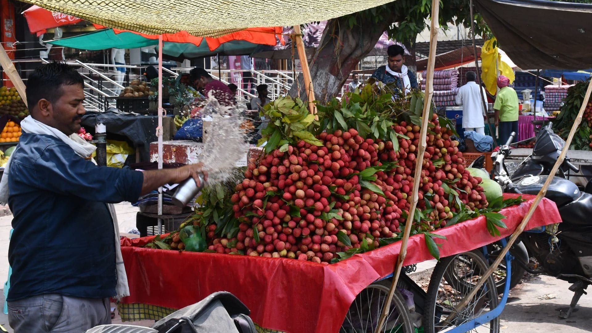 Nautapa 2025: नौ दिन तपाएगा नौतपा, 80 साल बाद सबसे ज्यादा तपेगा, 25 मई से होगी शुरुआत; जानें अपडेट Nautapa will heat up for nine days hottest after 80 years start from 25 May in varanasi