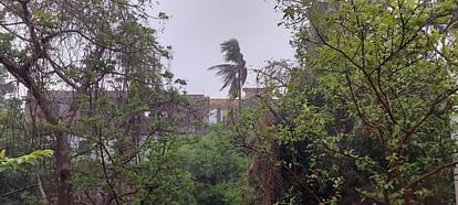 UP Weather: हवाओं और बारिश से लू के हालात खत्म, 65 जिलों में बूंदाबांदी की चेतावनी; जानें अपने जिले का हाल UP Weather Winds and rain end heat wave conditions drizzle warning in 65 districts Know your district Update