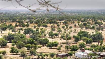 Karauli News: महिलाओं ने बदली इलाके की तकदीर, बंजर जमीन को हराभरा बनाकर डकैत पतियों को दिखाया किसानी का रास्ता Karauli News: Women Transform Barren Land, Inspire Bandit Husbands to Embrace Farming