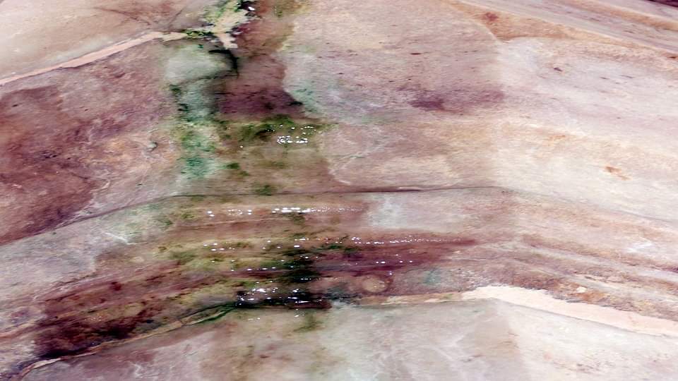 Taj Mahal: ताजमहल के मुख्य मकबरे की छत में कहां से आ रहा पानी, 84 साल बाद फिर हुआ ऐसा water leak from roof in main mausoleum of Taj Mahal