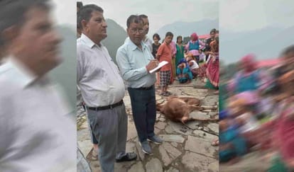 Uttarkashi: कंसेरु में आवासीय भवन में लगी आग, कड़ी मशक्कत के बाद पाया काबू, तीन मवेशियों की दम घुटने से मौत Sudden fire broke out in a residential building three cattle died due to suffocation Uttarkashi News