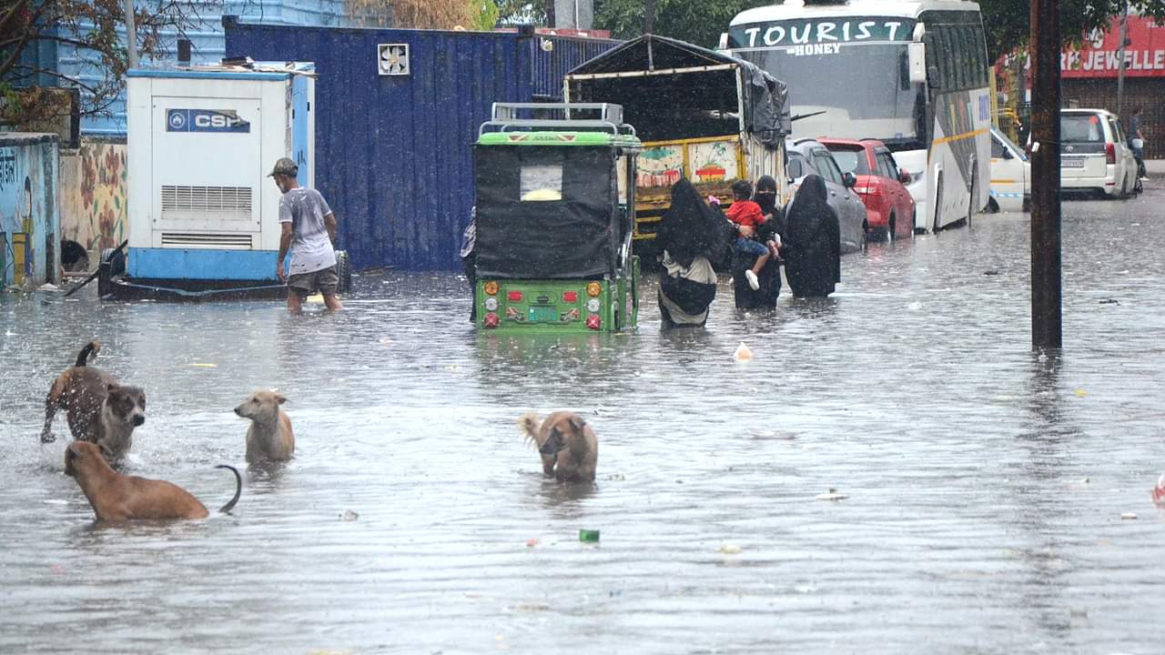 UP News: बरेली में बारिश से सड़कों पर सैलाब जैसे हालात... घरों में घुसा पानी, तस्वीरों में देखें शहर का हाल flood like situation on roads and water entered houses due to heavy rain in Bareilly