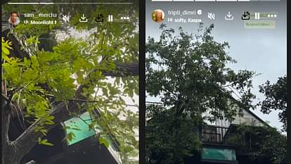 Tripti Dimri: तृप्ति और रूमर्ड बॉयफ्रेंड ने फिर शेयर की एक जैसी तस्वीरें, एक्ट्रेस ने लिखा- मेरा सीक्रेट… Tripti Dimri Enjoy Vacation With Rumoured Boyfriend Sam Merchant