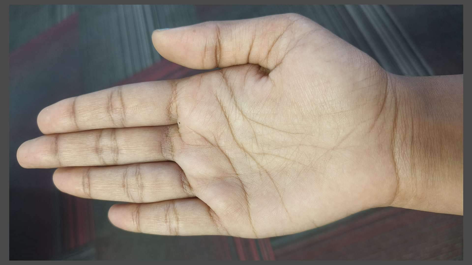 Millionaire Palmistry: हथेली पर ये धन त्रिकोण देता है करोड़पति बनने के संकेत, जानें कहां होता है Millionaire palmistry Dhan trikon in palmisty hath mein crorepati banane ka nishan money triangle