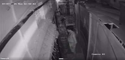 Kanpur Theft: सराफा दुकान का कारीगर 25 लाख के जेवर लेकर भागा, CCTV में कैद हुआ आरोपी…जांच में जुटी पुलिस Kanpur Theft Jeweller of a jewellery shop ran away with jewellery worth 25 lakhs accused caught on CCTV