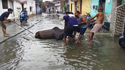 बरेली में बारिश: सड़कों पर सैलाब जैसे हालात... दिनभर जूझे लोग; बाइक समेत नाले में गिरे दो कांवड़िये Flood like situation on roads due to heavy rain in bareilly
