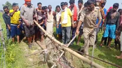 Mirzapur News: घर के बाहर सात फीट लंबा मगरमच्छ देख चीख पड़ी महिला, कड़ी मशक्कत के बाद जलाशय में छोड़ा Mirzapur forest department rescued seven feet long crocodile in Village