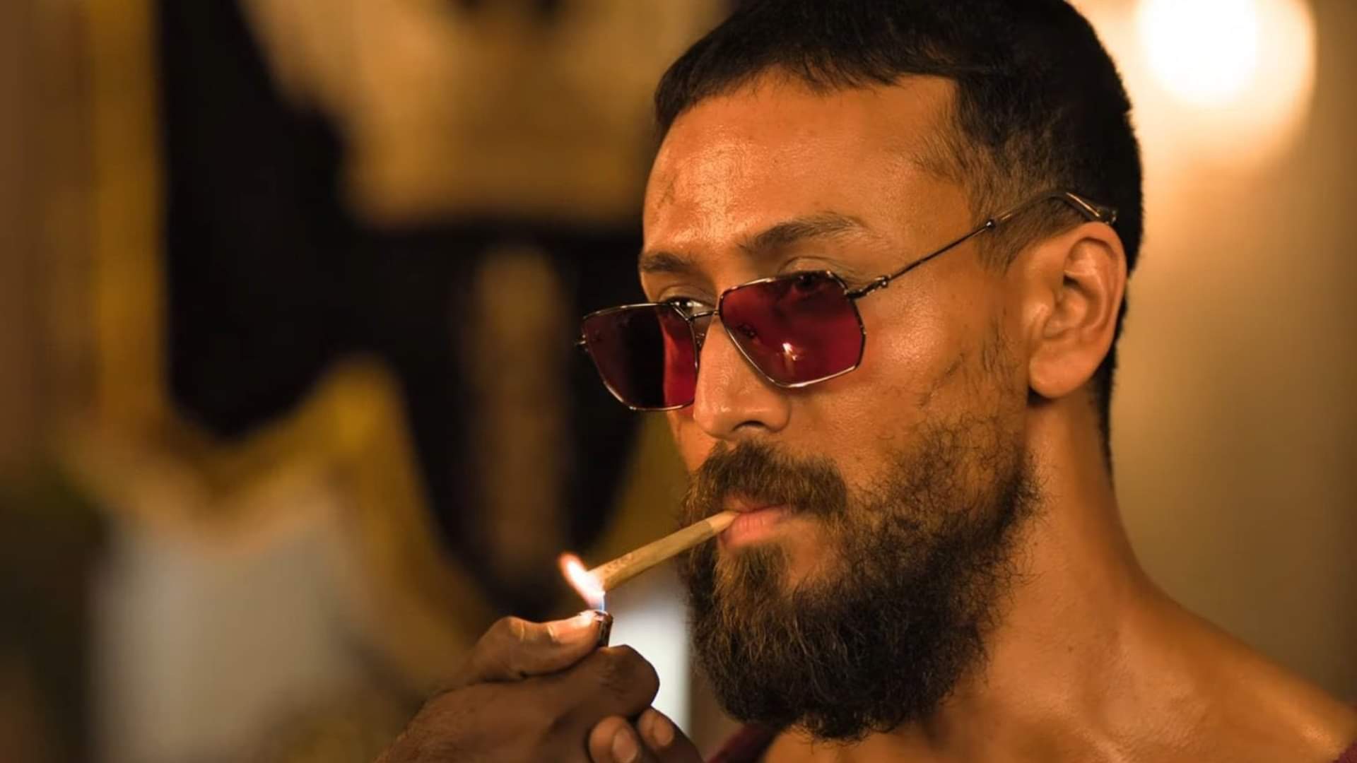 Box Office: दूसरे हफ्ते बेहद कम हुई 'बागी 4' की कमाई, जानें 'द बंगाल फाइल्स' का हाल Baaghi 4 and The Bengal Files box office collection down in second week