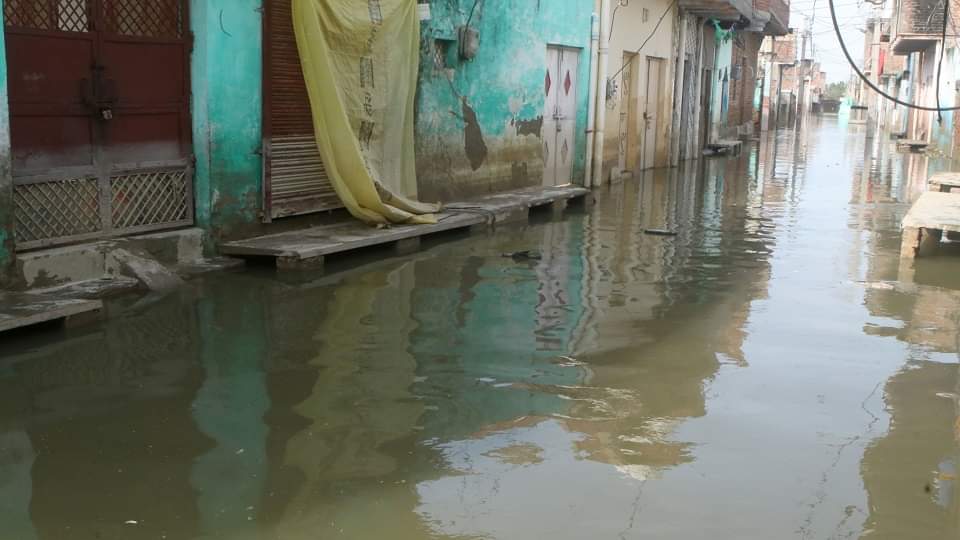 बर्बादी की बाढ़: दरक रहे मकान, धंस रहे फर्श...घरेलू सामान खराब; सांसद हेमा मालिनी ने राहत शिविर में गाया भजन flood in mathura: crops and houses damaged due to flood MP Hema Malini inspected flood relief camp