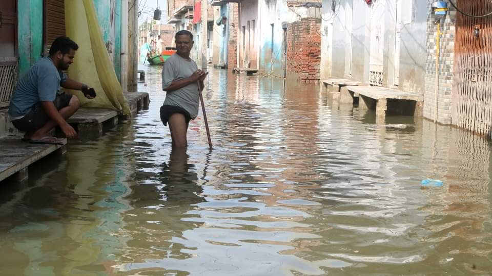बर्बादी की बाढ़: दरक रहे मकान, धंस रहे फर्श...घरेलू सामान खराब; सांसद हेमा मालिनी ने राहत शिविर में गाया भजन flood in mathura: crops and houses damaged due to flood MP Hema Malini inspected flood relief camp