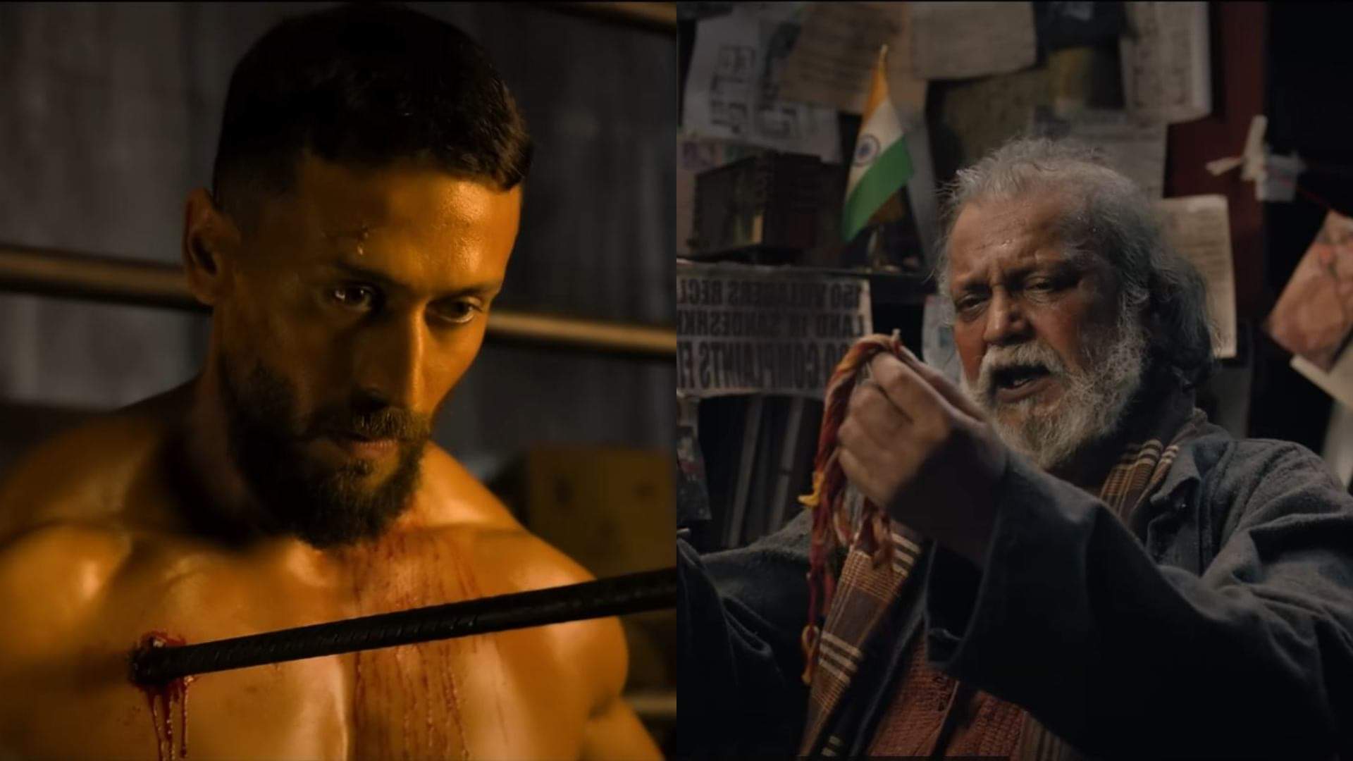 Box Office: दूसरे हफ्ते बेहद कम हुई 'बागी 4' की कमाई, जानें 'द बंगाल फाइल्स' का हाल Baaghi 4 and The Bengal Files box office collection down in second week