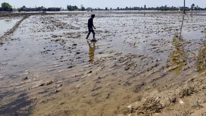 Punjab Flood: पंजाब को वापस पटरी पर लाने के लिए मान सरकार ने छेड़ा अभियान, खर्च होंगे 100 करोड़ AAP Govt will run cleanliness drive with Rs 100 crore for flood affected Punjab
