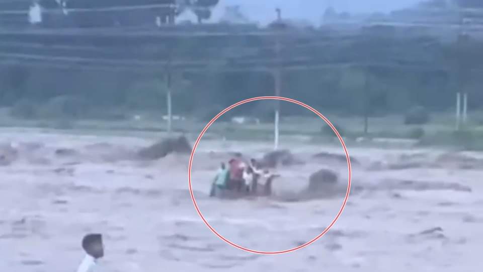 UP: देहरादून में बारिश से तबाही... यूपी के इस गांव के छह मजदूरों की मौत, बचने के लिए बिजली के पोल पर चढ़ा युवक UP News Laborers from Moradabad Die After Drowning in Dehradun River see photos