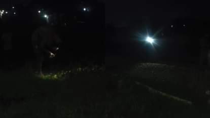 Bareilly News: रात में चलती ट्रेन से बरसाए नोट, फोन की टॉर्च जलाकर बटोरने में जुटे लोग; वीडियो वायरल passenger showered notes from a moving train in faridpur bareilly