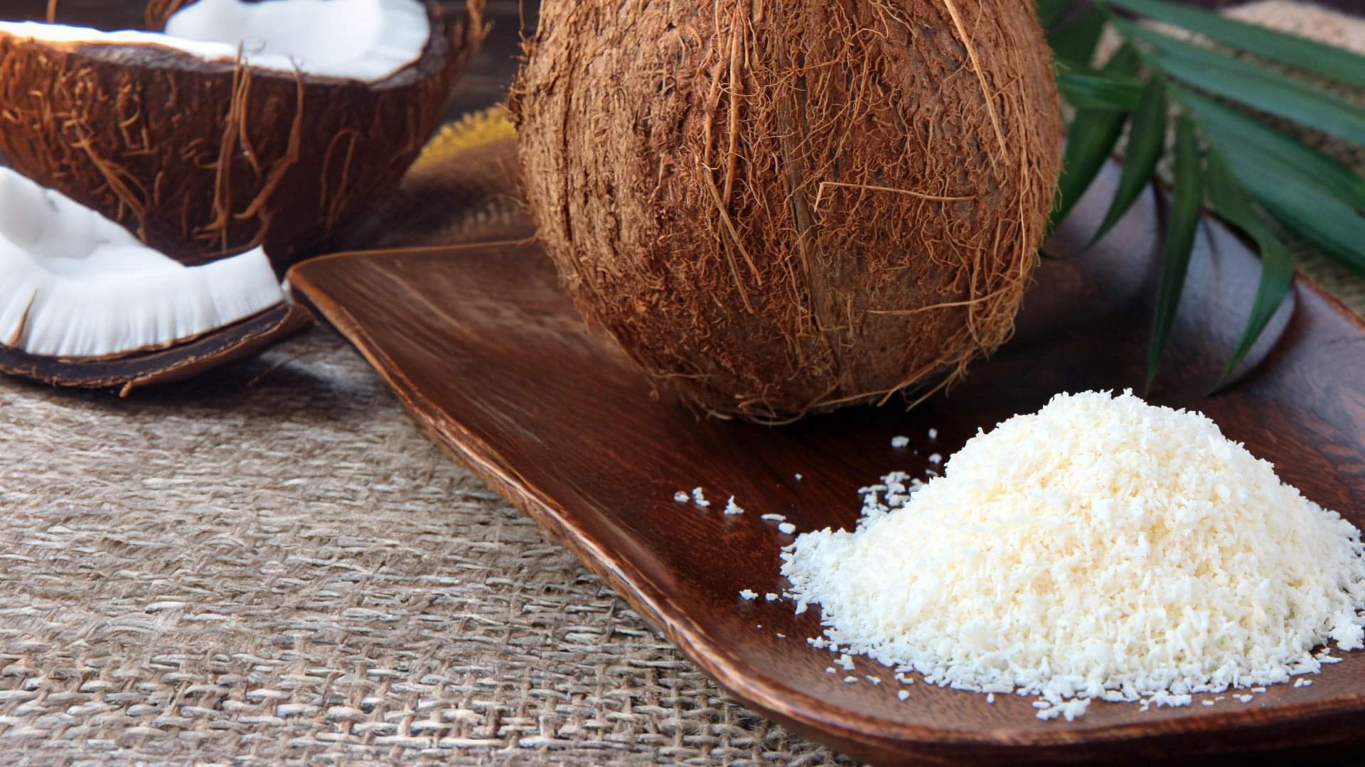Diwali Special Sugar Free Sweet: दिवाली के मौके पर ट्रेंड कर रहीं ये 2 शुगर फ्री मिठाई, आप भी घर पर बनाएं Diwali Special Sweet Ideas Try These Sugar Free Sweet For Festival Recipe in hindi