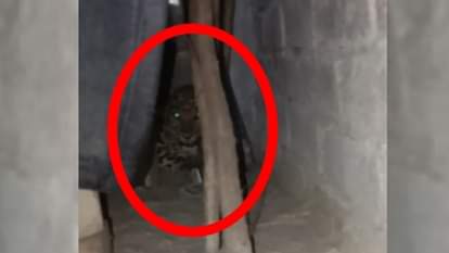 UP: सुबह-सुबह घर में घुसा तेंदुआ, रेस्क्यू में जुटी वन विभाग की टीम, गांव में अफरा तफरी Bahraich: Leopard enters house, forest department team engaged in rescue, panic in village.