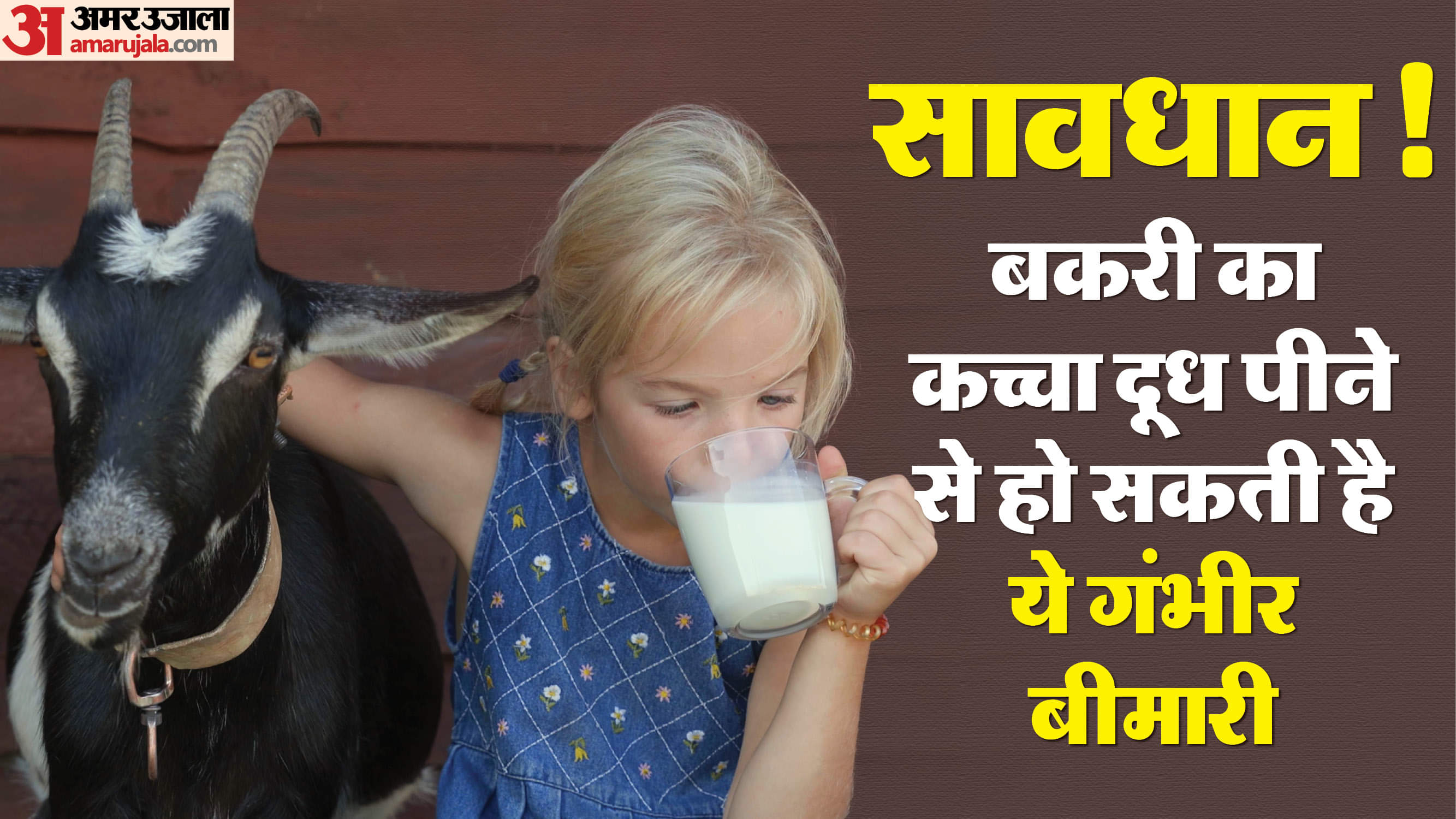 Health Tips: क्या बकरी का दूध पीने से शरीर में प्लेटलेट्स बढ़ती है, जानें क्या कहते हैं शोध? Health Tips Does Goat Milk Help to Increase Platelets Bakri Ka Dudh Peene Se Platelet Badhta Hai