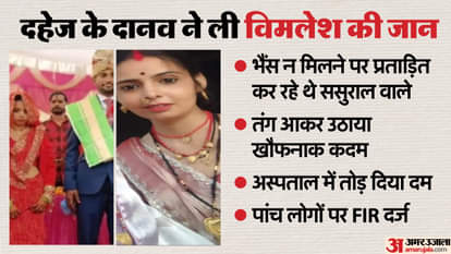 MP News: भैंस की वजह से नवविवाहिता ने तेजाब पीकर दी जान, ससुराल वालों पर FIR दर्ज; जानें मामला Gwalior News: Fed up with harassment from in-laws for not getting buffalo in dowry, woman drinks acid, death
