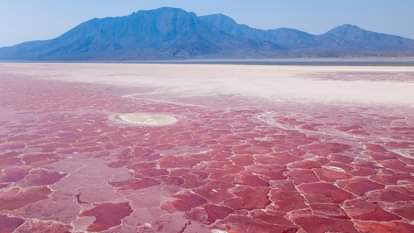 Mysterious Lake: इस रहस्यमयी झील के पानी को छूते ही इंसान बन जाता है पत्थर! पास जाने से भी डरते हैं लोग Mysterious Lake That Turns Humans into Stone on Touch Interesting Facts in Hindi